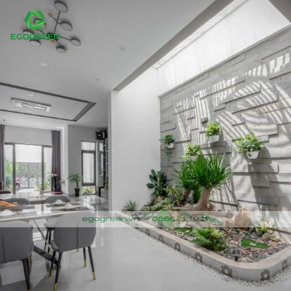 Trồng cây xanh trong nhà có nhiều lợi ích bất ngờ